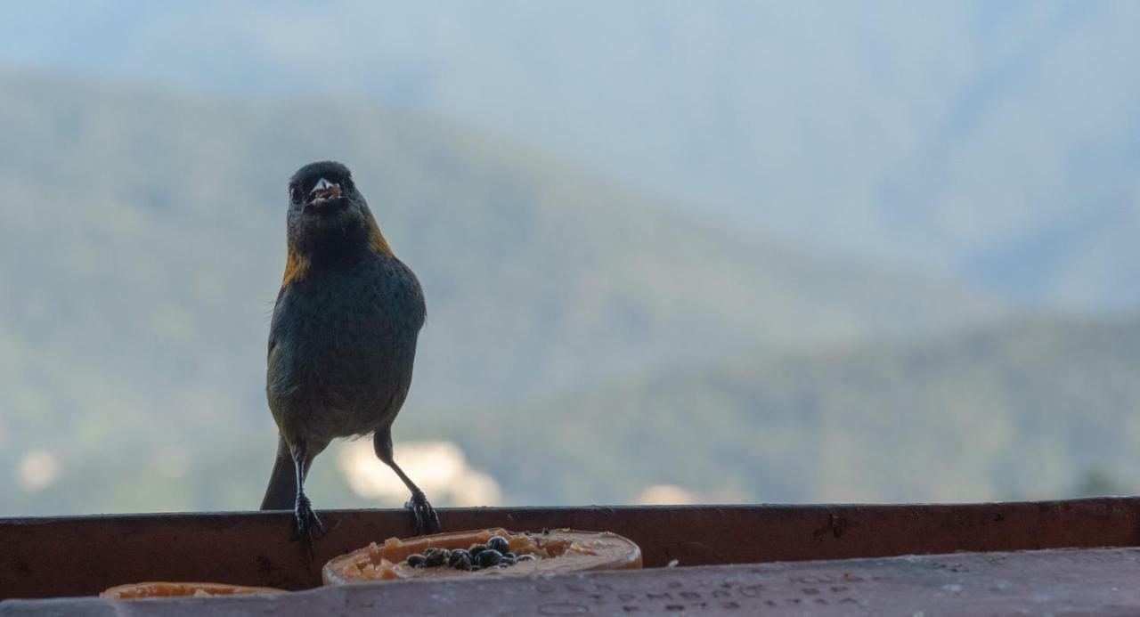Ore Suites E Chales Ubatuba Luaran gambar
