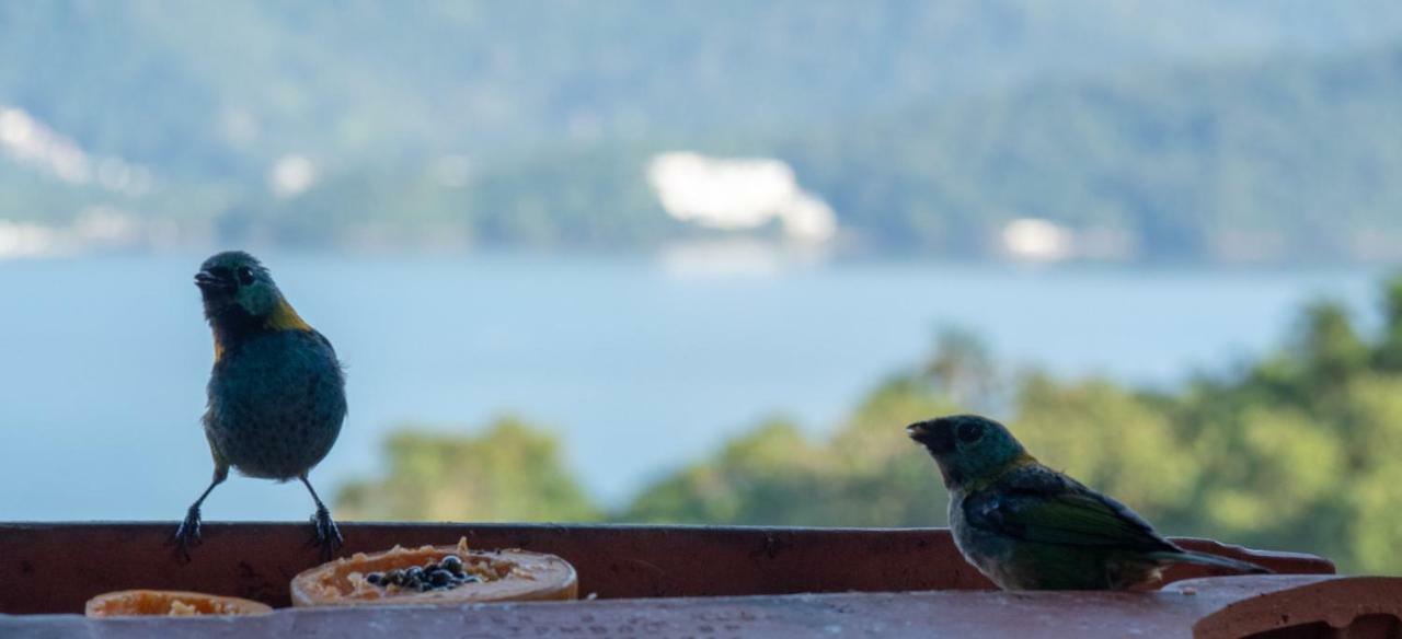 Ore Suites E Chales Ubatuba Luaran gambar